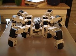 Custom-built Hexapod