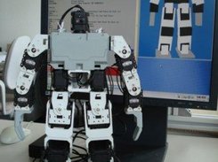 Linux control program, 3d-visualisation, modified humanoid