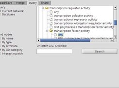 Querying networks by Gene Ontology category 