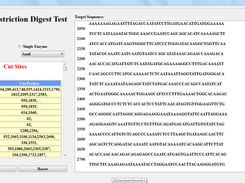 restriction enzymes