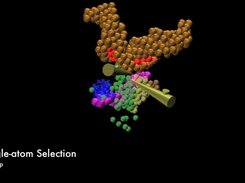 From Amurda's work on RecA