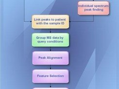 The workflow charts of the BioSunMS