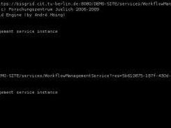 Screenshot of the BIS-Grid Workflow Management Command Line 