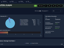 Crypto allocation analysis