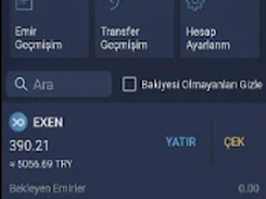 Bitexen Screenshot 1