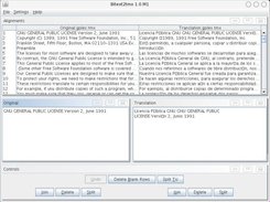 bitext2tmx 1.0.M1 - Window (editing)