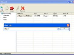 New Url Dialog