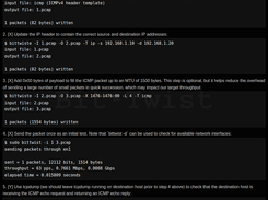 Example 1: Throughput testing