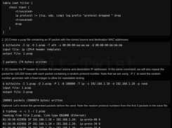 Example 2: Firewall testing