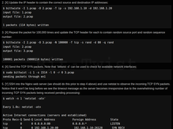Example 3: TCP SYN flood