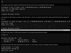 Example 4: ARP cache poisoning