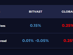 Bitvast Screenshot 1