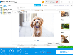 Bitwar Data Recovery Preview Interface