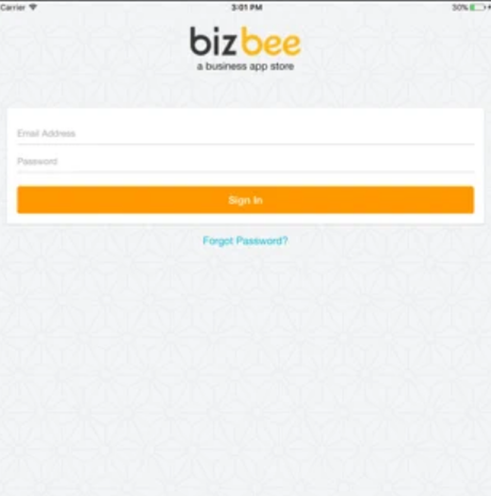 Bizbee Screenshot 1