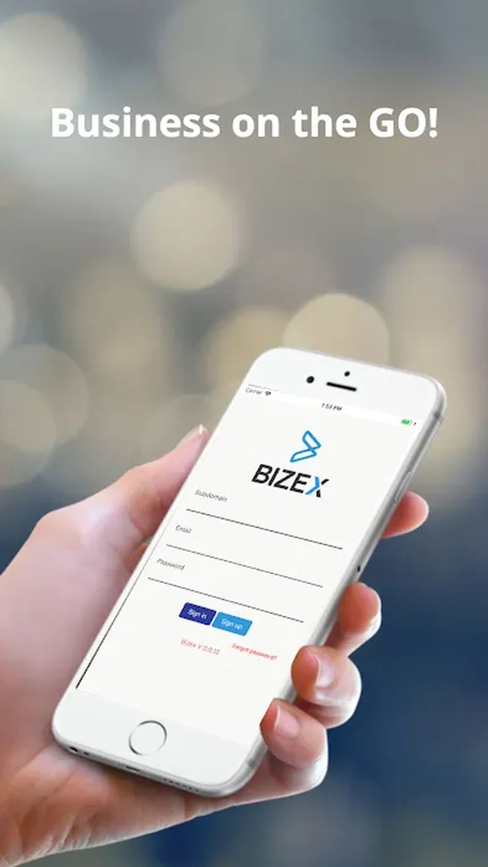 BizEx Screenshot 1