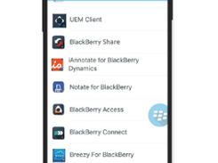 BlackBerry Access Screenshot 2