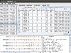 Graphical user interface of Blast2SNP