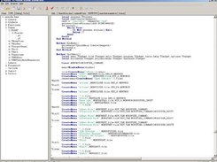 Main Code View