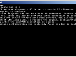 BlockDNS in action