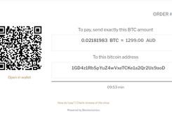 Bitcoin Checkout Screen