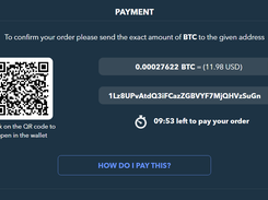 Payment Button/Link Checkout screen