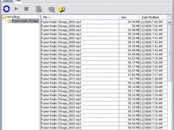 2- File View