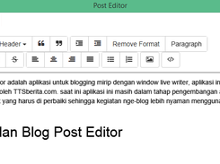 Blog Post Editor Screenshot 2