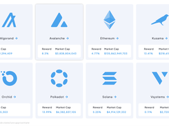 Offered staking protocols