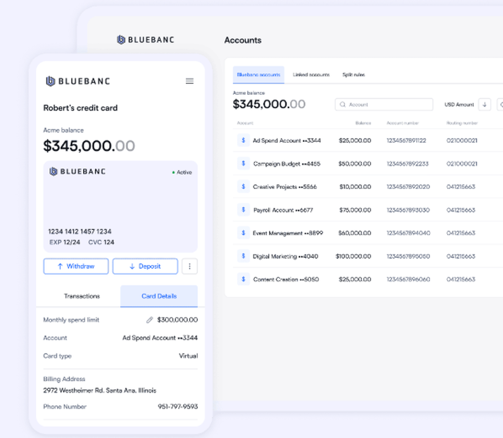 BlueBanc Screenshot 1