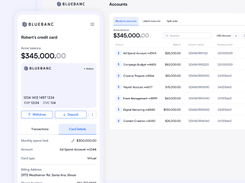 BlueBanc Screenshot 1