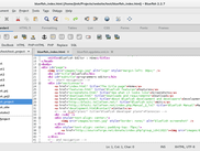 Bluefish main window