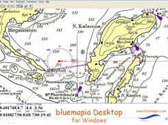 bluemapia Desktop for Windows