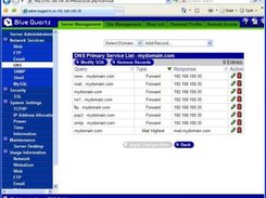 DNS Maintenance with ease!