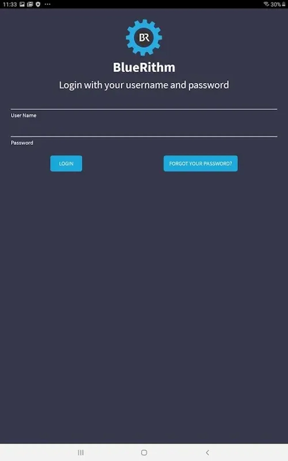 BlueRithm Screenshot 1