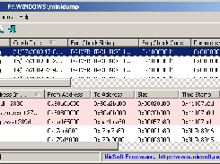 BlueScreenView Screenshot 1