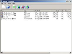 BlueZip with a file opened.