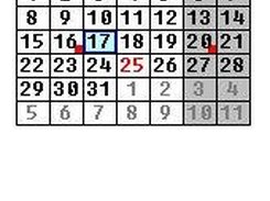 Calendar, month view
