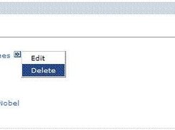 Delete Item