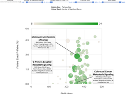 Functional Enrichment Analysis