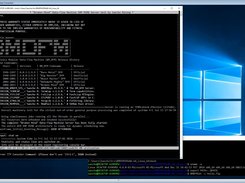 BMDFM running on Windows