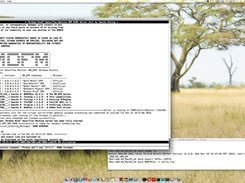 BMDFM running on MacOS
