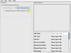 Main GUI of BMPE
