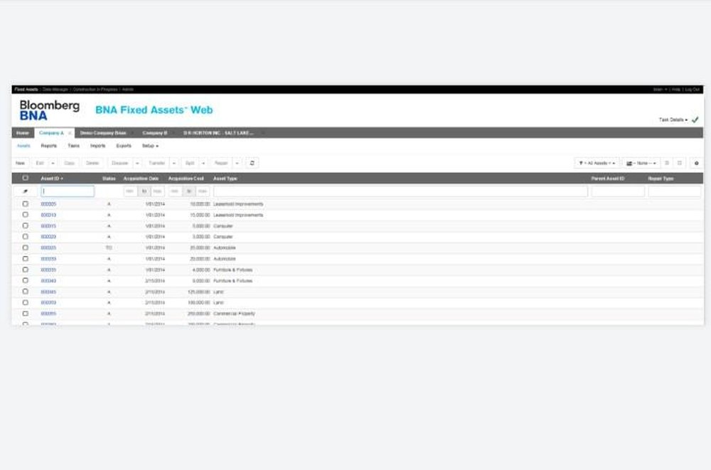 BNA Fixed Assets- Assets Report