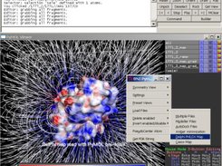 DelPhi map and pdb file loaded with bni-tools