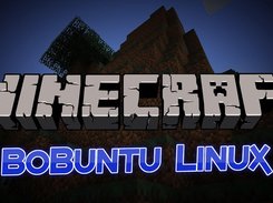 Run Minecraft on a great safe platform