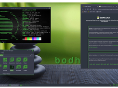 Bodhi Linux Screenshot 1