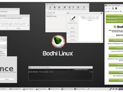 Bodhi Linux Screenshot 1