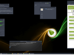 Bodhi Linux Screenshot 1