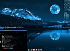 Bodhi Linux Screenshot 1