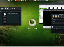 Bodhi Linux Screenshot 1